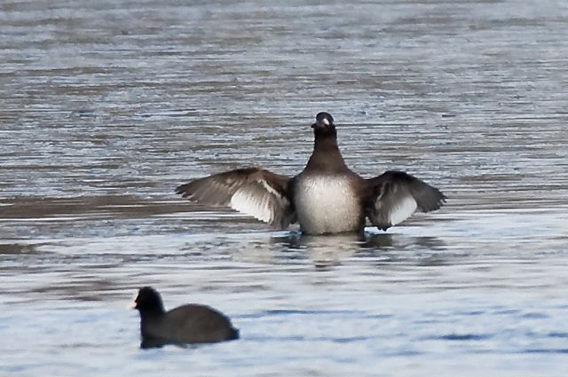 Samtente &copy; Martin Gabriel