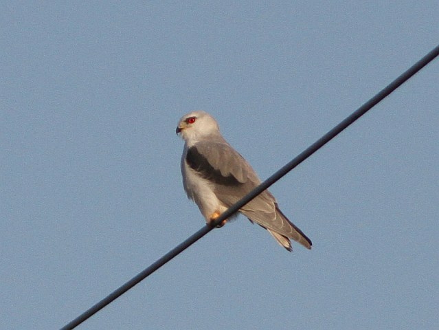 Gleitaar &copy; Kirsten Krätzel