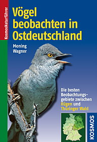 cover cover