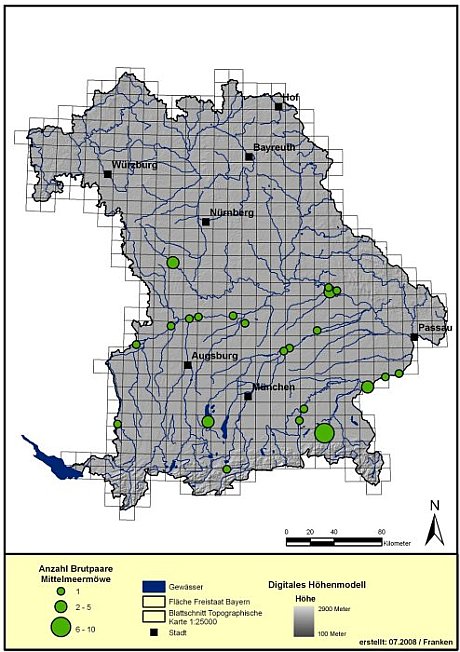 Verbreitungskarte Mittelmeermöwe 2006