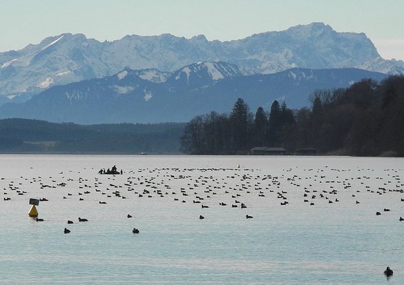 Ansicht Ammersee