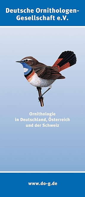 Attraktive Tagung an vogelkundlich attraktivem Ort: DO-G tagt aus Anlass des 100. Geburtstages der Vogelwarte Helgoland auf Helgoland! ©