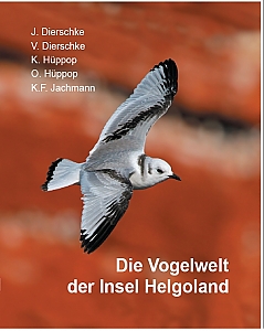 Die Vogelwelt der Insel Helgoland ©
