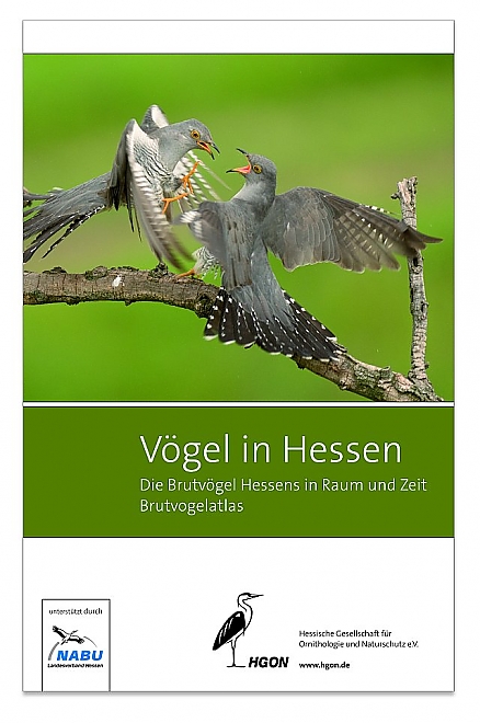 ?Neuer hessischer Brutvogelatlas erschienen ©