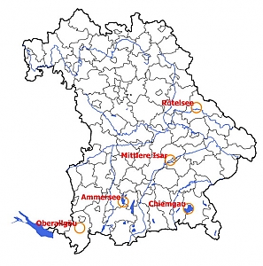 Ornithologische Arbeitsgemeinschaften in Bayern ©